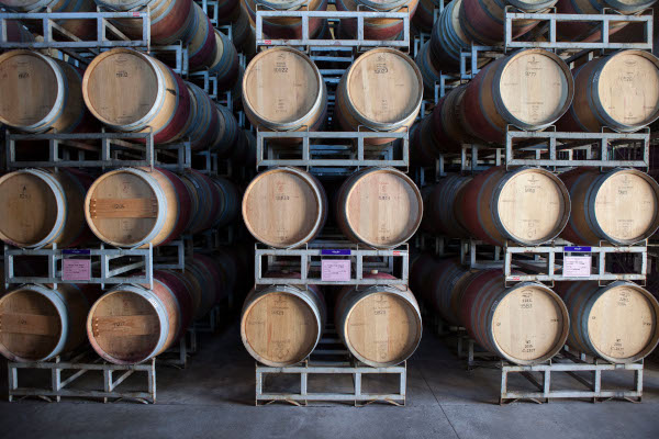 Winnica Cono Sur - zbiory 2018