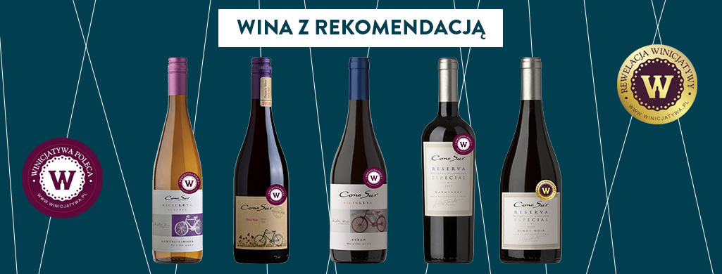 Rekomendacje Winicjatywy 2019