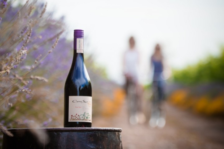Cono Sur Organic - certyfikowane wino wegańskie