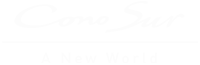 Cono Sur A New World